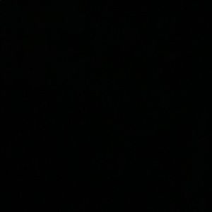 Meet your Posher, Benjamin